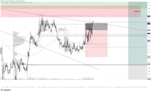 FET SHORT
